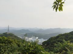 -阳台山森林公园