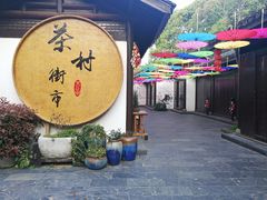 -天目湖山水园