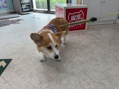 -纳吉亚猫专科动物医院·北北分院