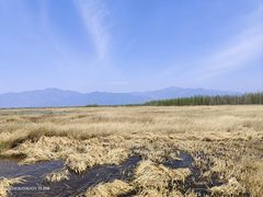 -野鸭湖国家湿地公园
