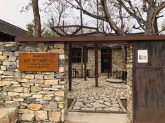 -府君山公园