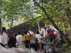 -黄金寨原生态旅游区