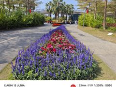 -福田红树林生态公园