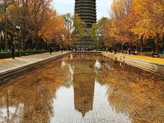 -玲珑塔公园