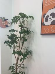 -洗脸熊·洗脸吧