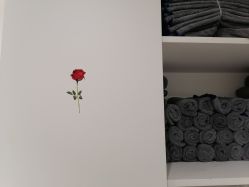 -EMILY 艾米莉 烫染沙龙