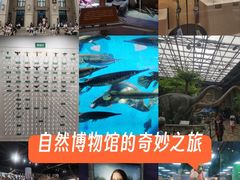 -国家自然博物馆