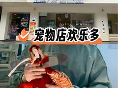 -立德异宠动物医院.兔鸟爬.内窥镜(天河店)