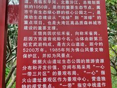 -王借岗森林公园