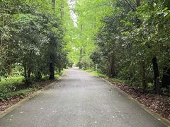 -东平国家森林公园