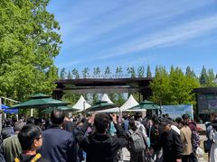 -黄海国家森林公园