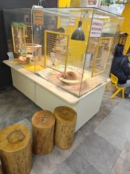 -神奇动物撸宠馆·羊驼·小浣熊·异宠(豫园店)