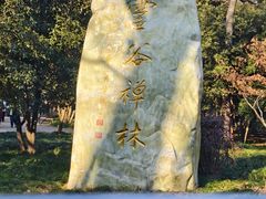 -灵谷景区
