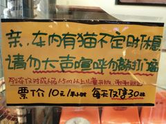 -猫咪博物馆(顶澳仔猫街店)