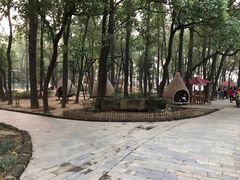 -东湖落雁景区