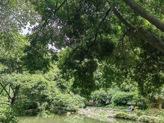 -成都市活水公园