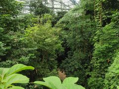 -南山植物园