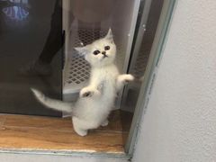 -狗道宠物(常熟印象城店)