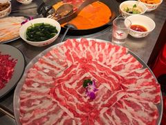 -朱光玉火锅馆(龙阳广场店)