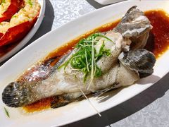 -达叔香味海鲜(海棠68环球美食街店)