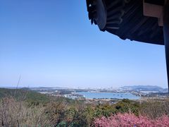 -香雪海