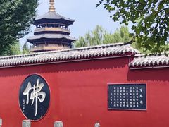 -百脉泉景区