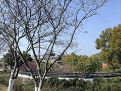 -观潮胜地公园