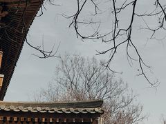 -西安青龙寺遗址景区