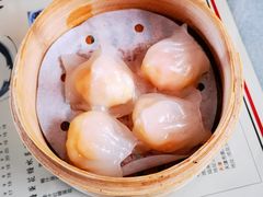 虾饺-捷信牛奶甜品世家(五道口店)