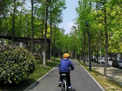 -GIANT捷安特自行车专卖店(金桥台儿庄路店)