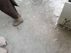 -移动谜城·大笨象密室逃脱(五棵松店)