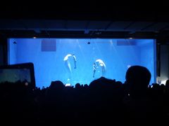 -芜湖新华联大白鲸海洋公园