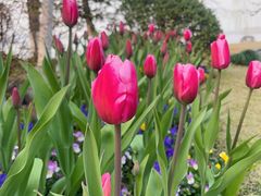 -浙江西子宾馆·瑶园咖啡厅