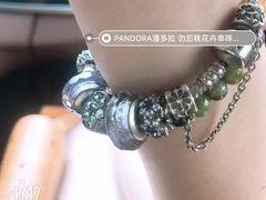 -Pandora潘多拉珠宝(武商广场店)