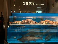 -许家菜(DT51店)