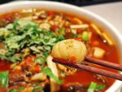 -院8里·小聚园老川菜(九眼桥店)