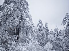 -峨眉山风景名胜区