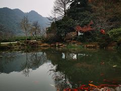 -中国茶叶博物馆(双峰馆区)