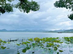 -湖畔居茶楼(湖滨店)