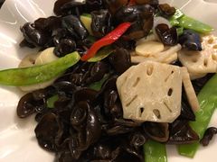 -欢乐海岸美食联盟