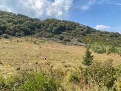 -白草畔自然风景区