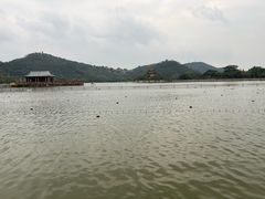 -顺峰山公园