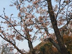 -南京城墙景区