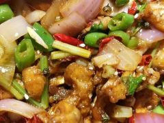 -蛙麻蛙辣炭火蛙锅(南环大街店)