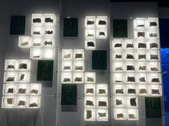 -广东中医药博物馆