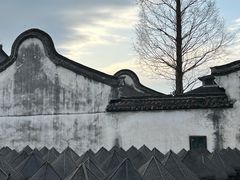 -乌镇景区