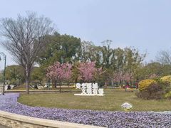 -新江湾城公园