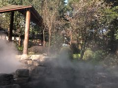 -重庆南山海昌汤都