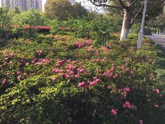 -白塘生态植物园