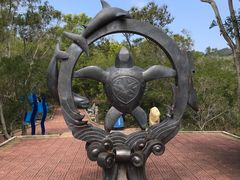 -广东惠东海龟国家级自然保护区